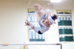 2024 NJSIAA Gymnastics Team State Championships