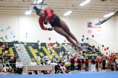 2024 NJSIAA Gymnastics Team State Championships