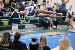 2024 NJSIAA Gymnastics Team State Championships