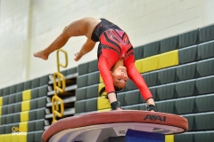 2024 NJSIAA Gymnastics Individual State Championships