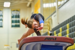 2024 NJSIAA Gymnastics Individual State Championships