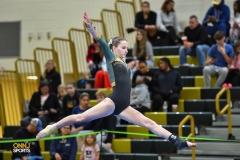 2024 NJSIAA Gymnastics Individual State Championships