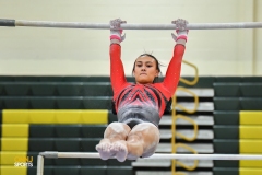 2024 NJSIAA Gymnastics Individual State Championships