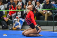 2024 NJSIAA Gymnastics Individual State Championships