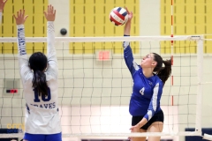 2024 NJSIAA Girls Volleyball Group 4 State Championship - Williamstown vs. Westfield