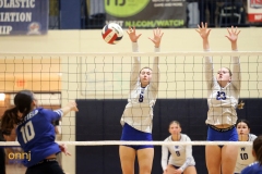 2024 NJSIAA Girls Volleyball Group 4 State Championship - Williamstown vs. Westfield