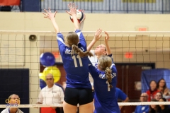 2024 NJSIAA Girls Volleyball Group 4 State Championship - Williamstown vs. Westfield