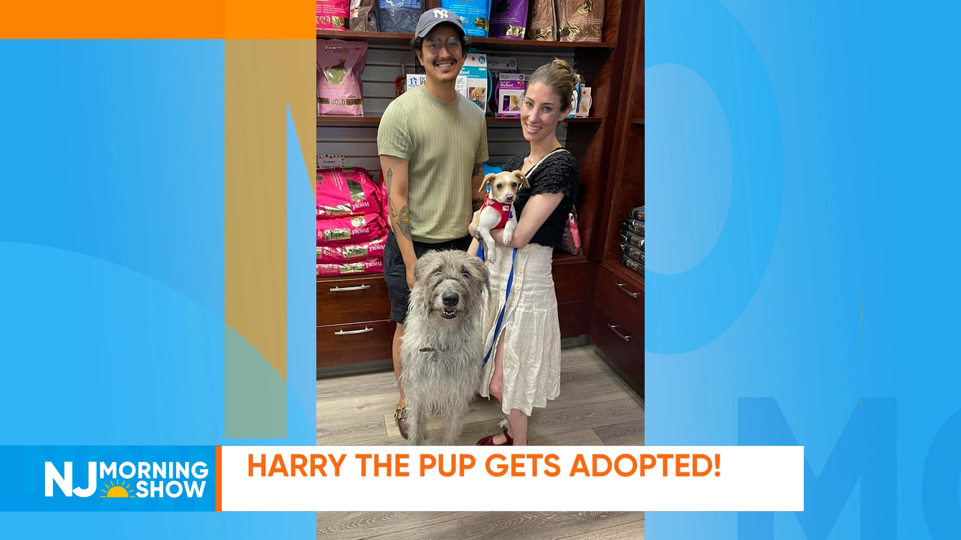 Harry The Pup Gets Adopted!