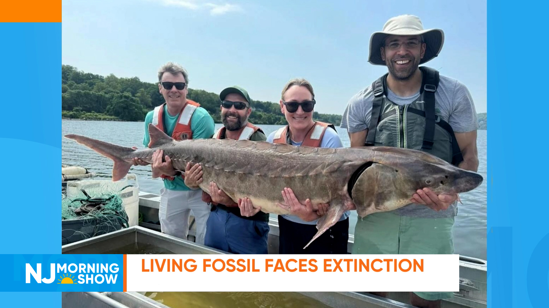 Living Fossil Faces Extinction