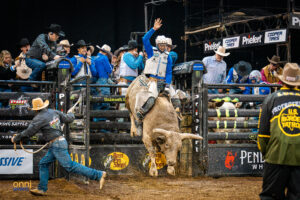 PBR New York Mavericks